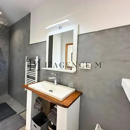 Grand Studio Balanina Maquis Proche Calvi דירה *